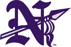 N Spear purple for light background 3 color no outlines